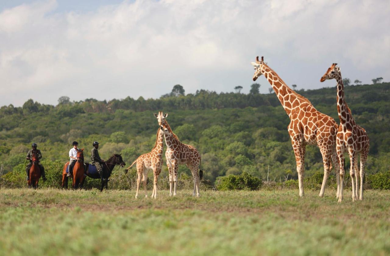 Hotel The Aberdare Country Club Mweiga Exterior foto
